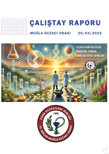 ÇALIŞTAY RAPORU 26/04/2025